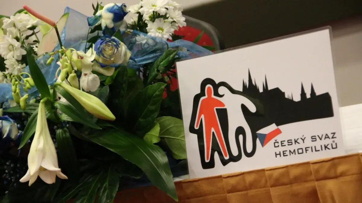 Jak jsme se sešli v Ostravě