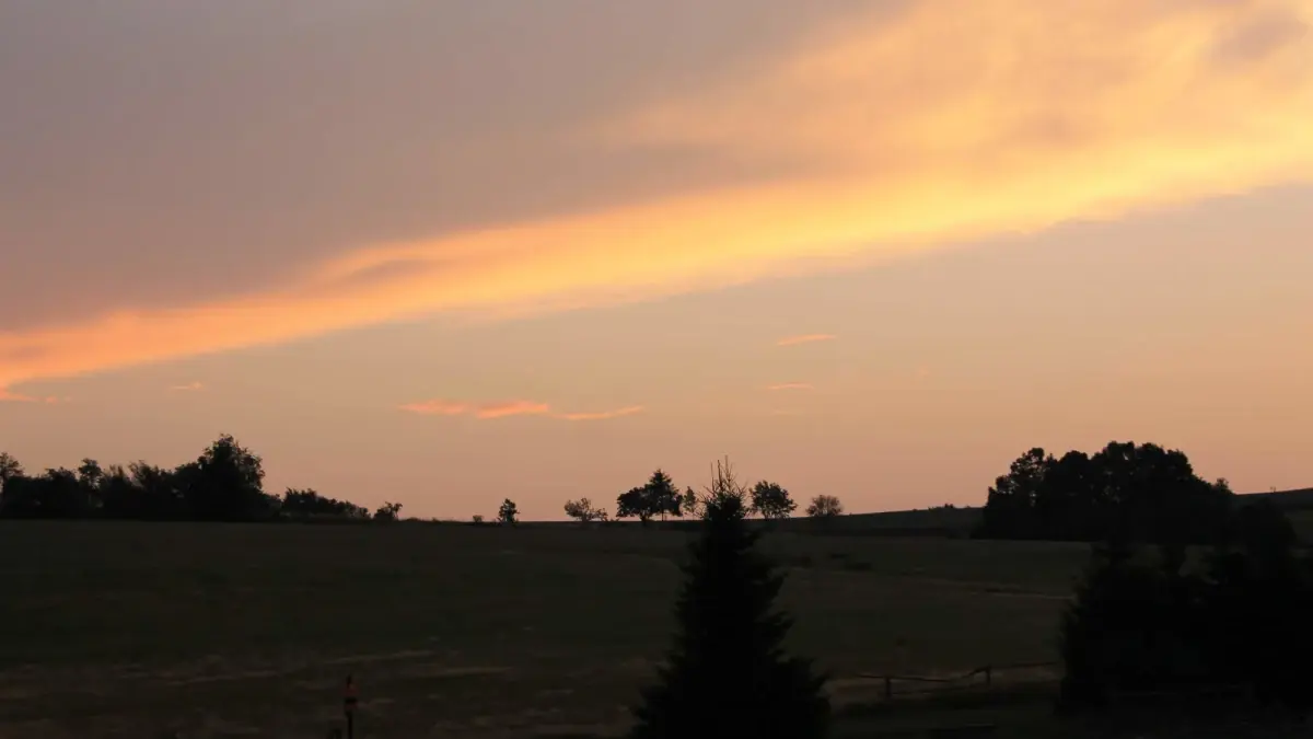Komplikace letního hemofilického tábora 2019