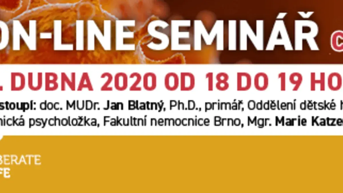 Zveme Vás na on-line seminář