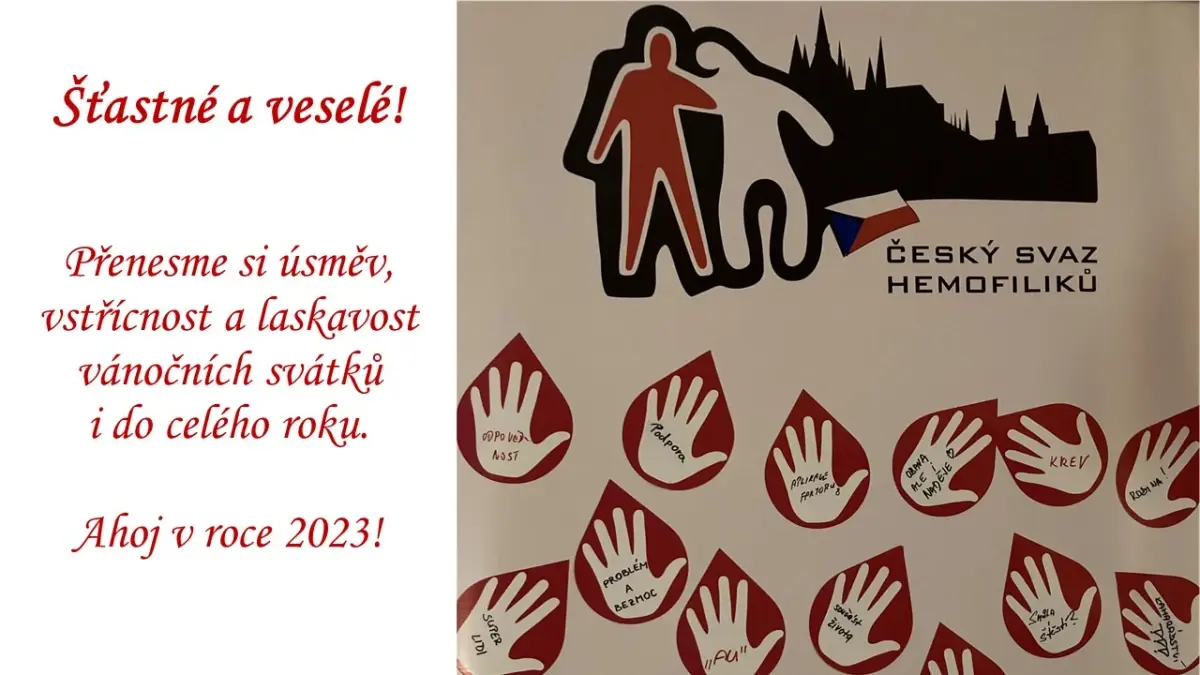 Ohlédnutí za rokem 2022